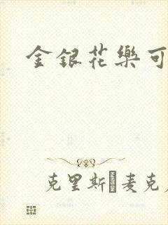 金银花乐可小说封面