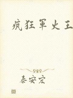 疯狂军火王