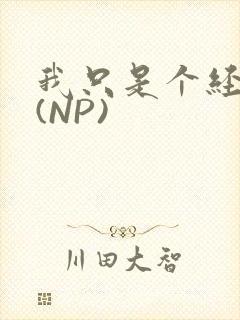 我只是个经纪人(NP)