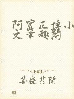 阿宾正传小说全文笔趣阁