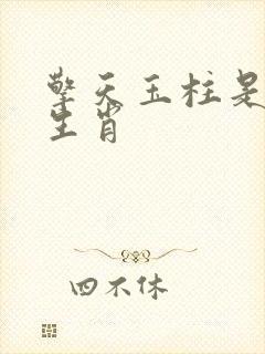 擎天玉柱是什么生肖封面