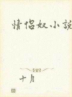 情侣奴小说