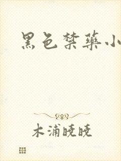 黑色禁药小说