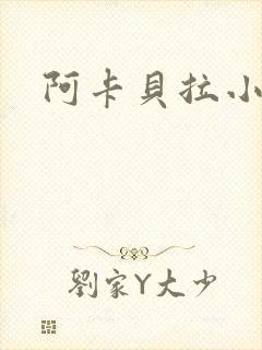 阿卡贝拉小说