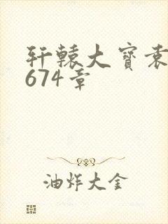 轩辕大宝袁雪妃674章封面