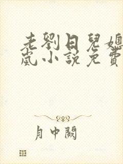 老刘日儿媳妇张岚小说免费阅读