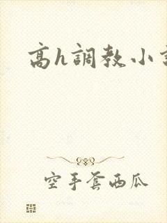 高h调教小说