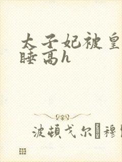 太子妃被皇上强睡高h