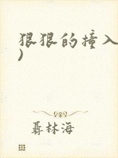 狠狠的撞入(h)