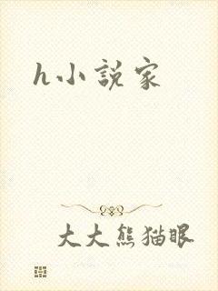 h小说家
