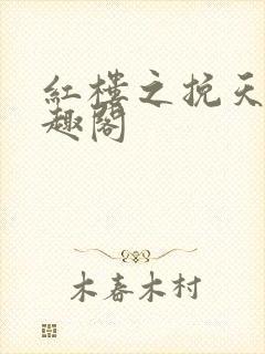 红楼之挽天倾笔趣阁