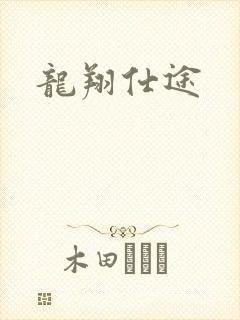 龙翔仕途封面