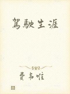 驾驶生涯