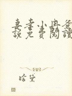 妻孝小冉爸爸小说免费阅读封面