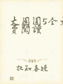 大团圆5全文免费阅读