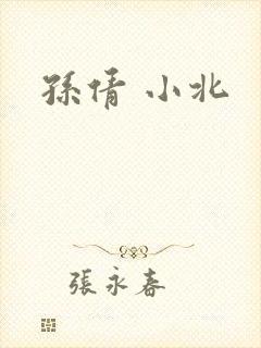 孙倩 小北封面