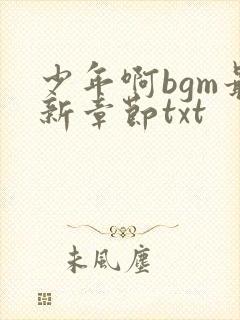 少年啊bgm最新章节txt