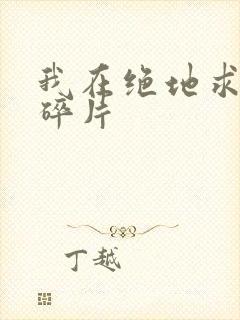 我在绝地求生捡碎片