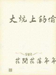 大炕上的偷乱2