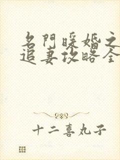 名门暖婚之权爷追妻攻略全文免费阅读