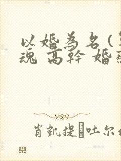 以婚为名 (军魂 高干 婚恋)