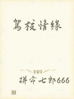 驾校情缘