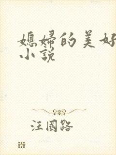 媳妇的美好时代小说