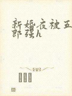 新婚夜被五个伴郎强h封面
