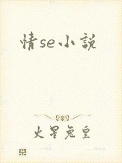 情se小说