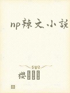 np辣文小说