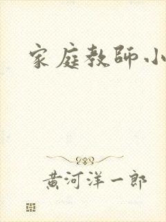 家庭教师小说封面