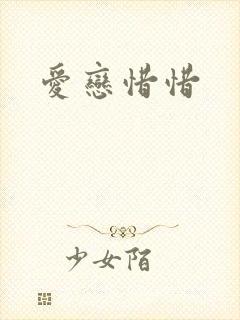 爱恋惜惜封面