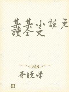 某某小说免费阅读全文封面