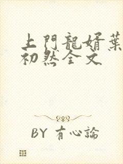上门龙婿叶辰萧初然全文封面