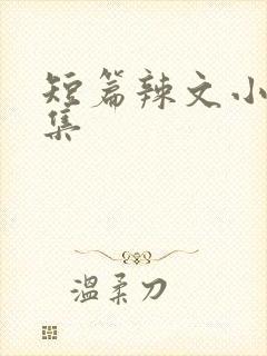 短篇辣文小说合集