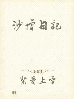 沙僧日记封面