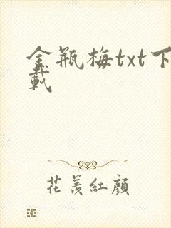 金瓶梅txt下载