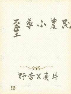至尊小农民王木生封面