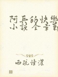 阿兵的快乐生活小说 全章节阅读免费