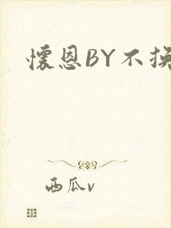 怀恩BY不换