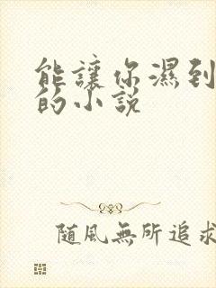 能让你湿到不行的小说