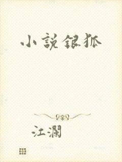 小说银狐封面