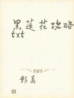 黑莲花攻略手册txt