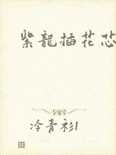 紫龙插花芯