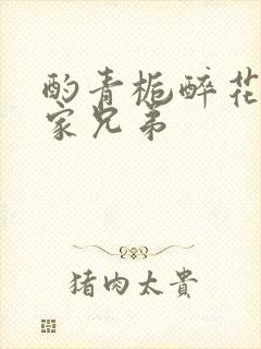 酌青栀醉花阴贺家兄弟封面