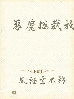 恶魔总裁放了我封面