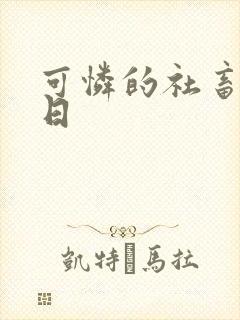 可怜的社畜东度日
