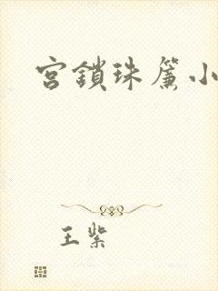 宫锁珠帘小说封面