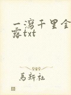 一泻千里金银花露txt