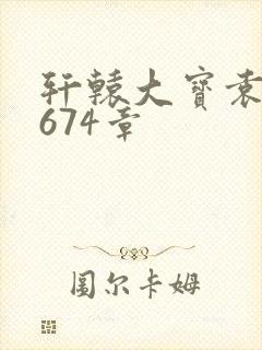 轩辕大宝袁雪妃674章